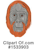 Orangutan Clipart #1533903 by patrimonio
