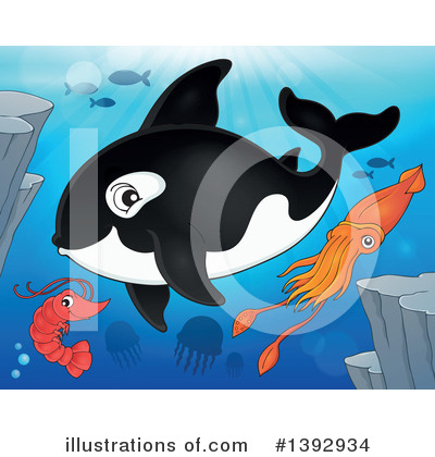 Royalty-Free (RF) Orca Clipart Illustration by visekart - Stock Sample #1392934