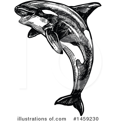 Orca Clipart #1459230 by Vector Tradition SM