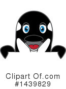 Orca Mascot Clipart #1439829 by Mascot Junction