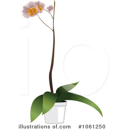Royalty-Free (RF) Orchid Clipart Illustration by Vector Tradition SM - Stock Sample #1061250