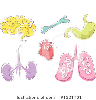 Royalty-Free (RF) Organs Clipart Illustration by BNP Design Studio - Stock Sample #1321701
