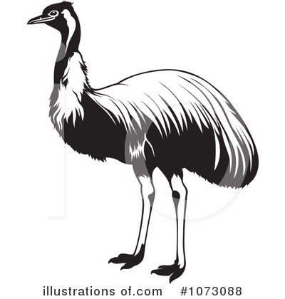Royalty-Free (RF) Ostrich Clipart Illustration by dero - Stock Sample #1073088