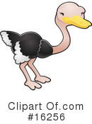 Ostrich Clipart #16256 by AtStockIllustration