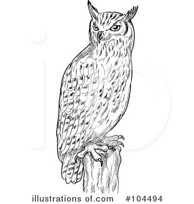 Royalty-Free (RF) Owl Clipart Illustration by patrimonio - Stock Sample #104494