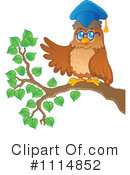 Owl Clipart #1114852 by visekart