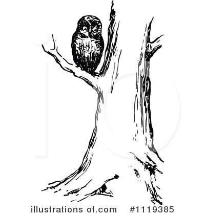 Royalty-Free (RF) Owl Clipart Illustration by Prawny Vintage - Stock Sample #1119385
