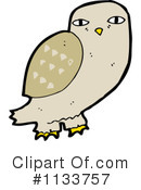 Owl Clipart #1133757 by lineartestpilot