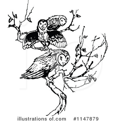Owls Clipart #1147879 by Prawny Vintage