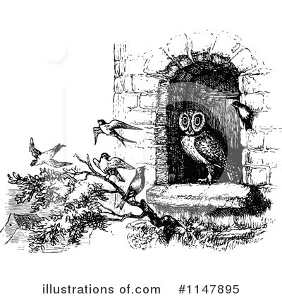 Owls Clipart #1147895 by Prawny Vintage
