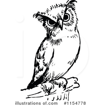 Owl Clipart #1154778 by Prawny Vintage