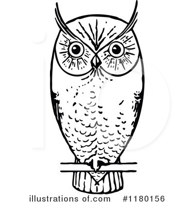 Royalty-Free (RF) Owl Clipart Illustration by Prawny Vintage - Stock Sample #1180156