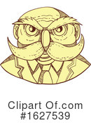 Owl Clipart #1627539 by patrimonio