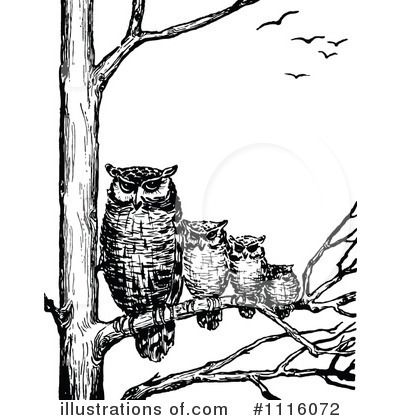 Royalty-Free (RF) Owls Clipart Illustration by Prawny Vintage - Stock Sample #1116072