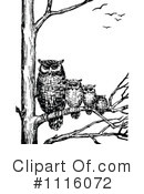 Owls Clipart #1116072 by Prawny Vintage