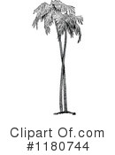 Palm Tree Clipart #1180744 by Prawny Vintage