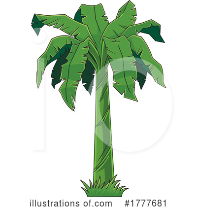 Palm Tree Clipart #1777681 by Hit Toon