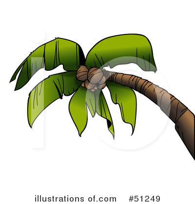 Royalty-Free (RF) Palm Tree Clipart Illustration by dero - Stock Sample #51249