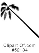 Palm Tree Clipart #52134 by dero