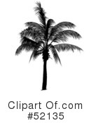 Palm Tree Clipart #52135 by dero