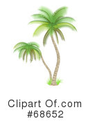 Palm Tree Clipart #68652 by Oligo