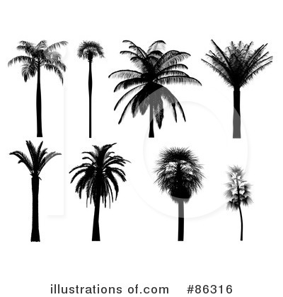 Trees Clipart #86316 by Mopic