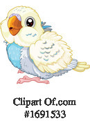 Parakeet Clipart #1691533 by Pushkin