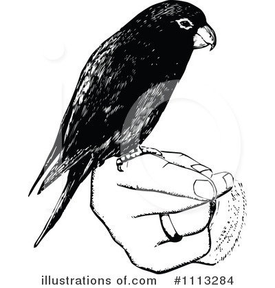 Pet Bird Clipart #1113284 by Prawny Vintage