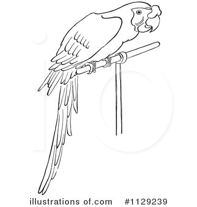 Royalty-Free (RF) Parrot Clipart Illustration by Picsburg - Stock Sample #1129239