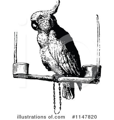 Royalty-Free (RF) Parrot Clipart Illustration by Prawny Vintage - Stock Sample #1147820