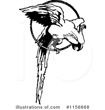 Royalty-Free (RF) Parrot Clipart Illustration by BestVector - Stock Sample #1156668