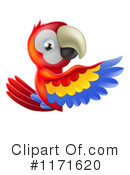 Parrot Clipart #1171620 by AtStockIllustration
