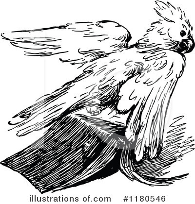 Royalty-Free (RF) Parrot Clipart Illustration by Prawny Vintage - Stock Sample #1180546