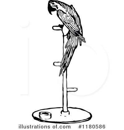 Royalty-Free (RF) Parrot Clipart Illustration by Prawny Vintage - Stock Sample #1180586