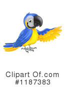 Parrot Clipart #1187383 by AtStockIllustration