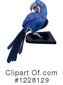 Parrot Clipart #1228129 by dero
