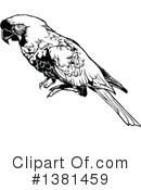 Parrot Clipart #1381459 by dero