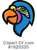 Parrot Clipart #1620335 by patrimonio