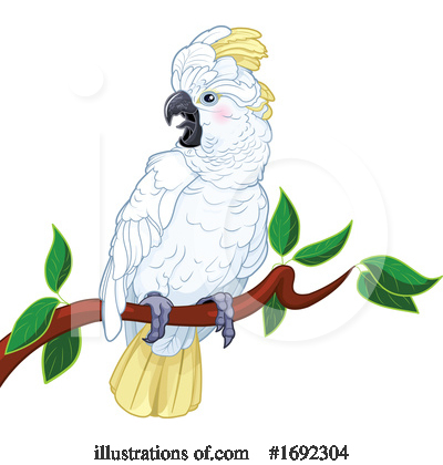 Parrot Clipart #1692304 by Pushkin