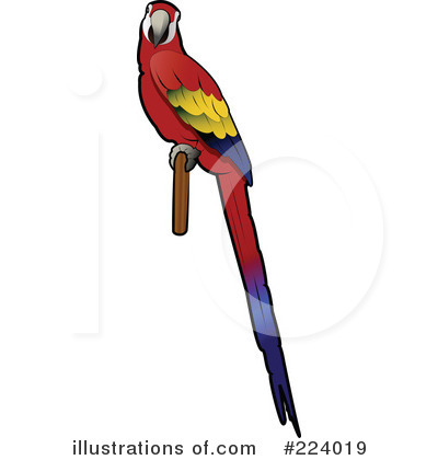 Royalty-Free (RF) Parrot Clipart Illustration by Vitmary Rodriguez - Stock Sample #224019