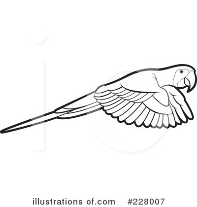 Royalty-Free (RF) Parrot Clipart Illustration by Lal Perera - Stock Sample #228007