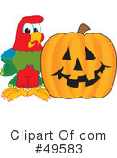 Parrot Mascot Clipart #49583 by Mascot Junction