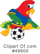 Parrot Mascot Clipart #49600 by Mascot Junction
