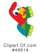Parrot Mascot Clipart #49614 by Mascot Junction
