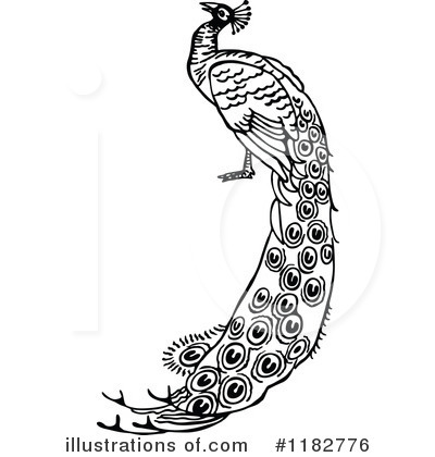 Peacock Clipart #1182776 by Prawny