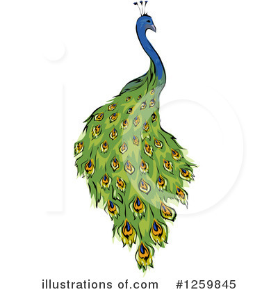 Peacock Clipart #1259845 by BNP Design Studio