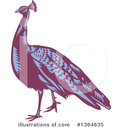 Peacock Clipart #1364635 by patrimonio