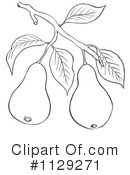 Pear Clipart #1129271 by Picsburg