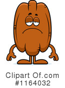 Pecan Clipart #1164032 by Cory Thoman