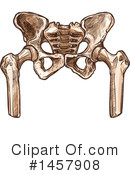 Pelvis Clipart #1457908 by Vector Tradition SM